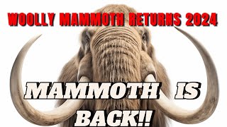 WOOLLY MAMMOTH RETURNS 2024 [upl. by Adyol433]