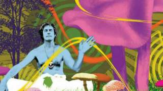 Timothy Leary on the Psychedelic Experience Pt 14 [upl. by Ojillib]