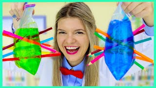 Easy Science Experiment for Kids and Toddlers  Simple Science Experiments for Kids at Home [upl. by Haimerej]