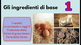 Gli ingredienti di base  Lezione 1 [upl. by Downey]