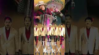 Los Tigres Del Norte 💃 Pure North Cumbias To Dance 2024 norteñas norteñasmix mixparapistear [upl. by Hu]