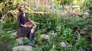 June Allotment Garden Tour 2018 [upl. by Gurl]