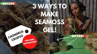 HOW TO MAKE SEAMOSS GEL 3 WAYS  REAL CHONDRUS CRISPUS  DR SEBI APPROVED  BLISSFUL KITCHEN [upl. by Rimola128]