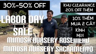 Mimosa Nursery Rosemead Và Sacramento Đại Đại Hạ Giá Cho Lễ Labor Day Có Nhiều  Off tt755 [upl. by Beebe]