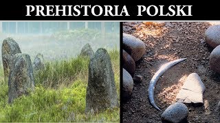 Prehistoria Polski  Tajemnicze Kręgi i Grobowce oraz Rekordowe Artefakty [upl. by Oflunra816]