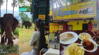 പ്രിയപ്പെട്ടവൻ്റെ അടുത്തേക്ക് ഒരു യാത്ര ❤️youtube youtubevideo minivlog travel food viralvideo [upl. by Holmen]