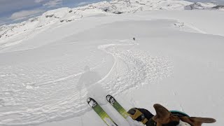 Skiing Down Mt Rhondda and across the Wapta Icefield [upl. by Nollahs321]