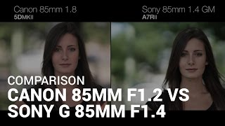 Comparison Canon 85mm f12 VS Sony G Master 85mm f14 [upl. by Rabkin]