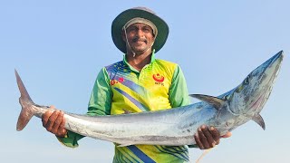 இன்று பிடித்த வஞ்சிரம் மீன் seer fish fishing at pulicat [upl. by Morette689]