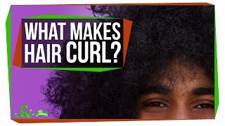 What Makes Your Hair Curl [upl. by Aninat]