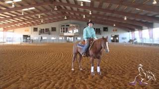 Teaching Your Horse To Guide Part 2  Billy Williams [upl. by Easlehc]