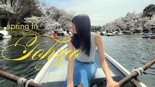 a cute cherry blossom vlog in Tokyo [upl. by Armallas964]