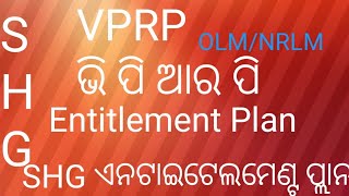 VPRP  SHG Entitlement planOLMNRLMଭିପିଆରପି  shg ଏନଟାଇଟେଲମେଣ୍ଟ ପ୍ଲାନ GPDP [upl. by Dor]