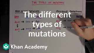 The different types of mutations  Biomolecules  MCAT  Khan Academy [upl. by Itsim]