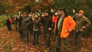 Jagd auf Jäger Tierschützer gegen Förster  SPIEGEL TV [upl. by Gaven955]