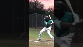 Felnin Celesten slomo swing mariners mlbprospects [upl. by Hieronymus851]