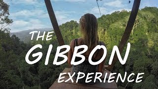 The Gibbon Experience  Laos 2018 [upl. by Ramahs]