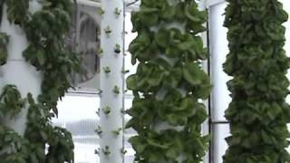 Aquaponics system in a retractable roof production system in Florida [upl. by Shulman797]