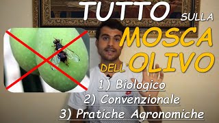 MOSCA dellOLIVO TRATTAMENTI BIOLOGICI  CONVENZIONALI  Come Combattere la Bactrocera Oleae [upl. by Hanid]