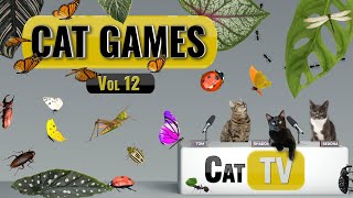 CAT Games  Ultimate Cat TV Bugs and Butterflies Compilation Vol 12 🪲 🐞🦋🦗 Videos For Cats to Watch [upl. by Hniv]