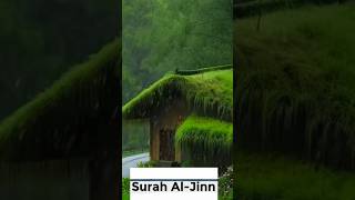 क़ुरान को सुनकर जिन्न भी ईमान ले आये AlQuran Surah Al Jinn Tarjuma Youtubeshorts Viral Vlogs [upl. by Ymiaj]