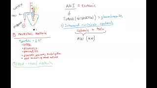 Nephrology 7 ENG acute kidney injury AKI prerenal intrarenal postrenal azotemia AIN gout [upl. by Anauqahc]