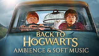 Flying Back to Hogwarts with Harry amp Ron ✨ Harry Potter inspired Ambience amp Soft Music [upl. by Aurora643]