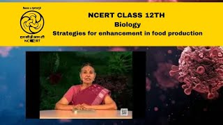 NCERT  CBSE Class 12 Biology  Strategies for enhancement in food production  Part 2 [upl. by Aiam250]