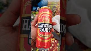 Having Haywards 5000🍺🍻🍺 viral shorts trending youtubeshorts viralshorts beer haywardsheath [upl. by Thorr477]