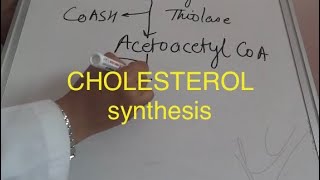 Biochemistry lipid cholesterol synthesisbiochemistry cyclesmetabolism of lipidscholesterol metab [upl. by Alan]