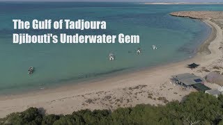 The Gulf of Tadjoura Djiboutis Underwater Gem [upl. by Sebbie]