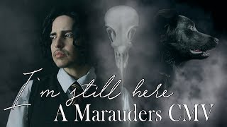 Im still here  Marauders Era  Sirius Black CMV [upl. by Raman]