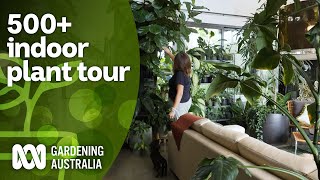 Huge 500 indoor plant collection tour and plant care tips  Indoor plants  Gardening Australia [upl. by Zildjian]