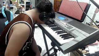 I guess playing Piano with the FIDDLY [upl. by Azmah]