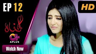 Gunnah  EP 12  Aplus Sara Elahi Shamoon Abbasi Asad Malik  Pakistani Drama  C3M1 [upl. by Ybrek360]