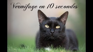 🐱 COMMENT VERMIFUGER SON CHAT EN 10 SECONDES ET SANS LAIDE DE PERSONNE [upl. by Hgielram]