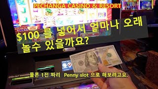 남가주 최고 호텔 카지노에 100 넣으면 얼마나 놀수 잇을까 PECHANGA RESORT AND CASINO POOL BAR [upl. by Ashia]