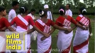 Jhumur dance of the Tea Tribe  Assam [upl. by Hamer270]