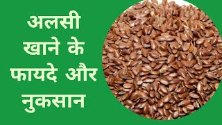 अलसी के फायदे और नुकसान  अलसी कैसे खाएंसावधानी नुकसान  Diabetes Weight lossblood pressure [upl. by Ojyma]