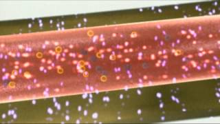 Faszination Laser Teil 2  Wie funktioniert ein Laser [upl. by Enilada]