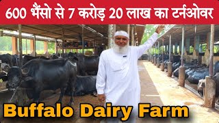 बड़ा भाई 28 साल सऊदी में कामकर 600 भैंसो का Farm बनाया छोटे भाइयों के लिए  Big Buffalo Dairy Farm [upl. by Einafats434]