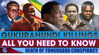 GUKURAHUNDI PART ONEWhy the military remains ED’s number one threat outside politics [upl. by Venola]