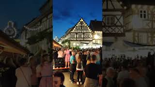 Weinfest Zeil am Main 2022 5 [upl. by Kakalina]