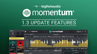 Momentum 13 Update Features [upl. by Ford]