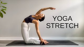 15 Minute Yoga Stretch Break  Open Your Body amp Feel Amazing [upl. by Lorianna]