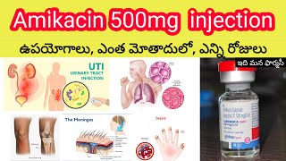 amikacin 500mg injection in telugu  uses sideeffects dosedosage  unimika500mg injection [upl. by Forrest]