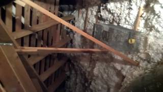 Extermination Exterminators Attic Crawlspace Rodent infestation Control Removal Trapping in my area [upl. by Terej]