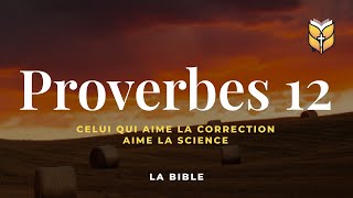 La Bible Proverbes 12 Louis Segond biblevision [upl. by Alahc]