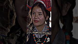 Mashum  Ladakhi New Video Song 2024 [upl. by Liemaj751]