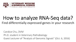 How to analyze RNASeq data Find differentially expressed genes in your research [upl. by Cyn]